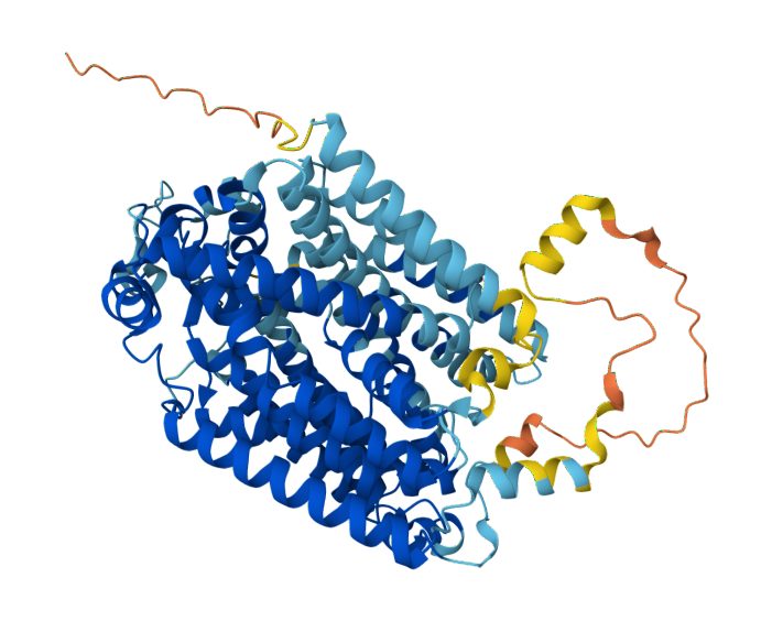 Protein structure